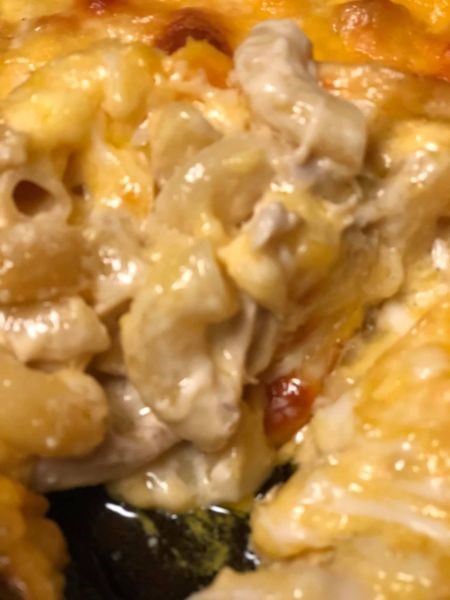 Close-up of creamy Chicken and Cheese Macaroni Bake showing tender elbow macaroni mixed with shredded chicken and melted cheese.