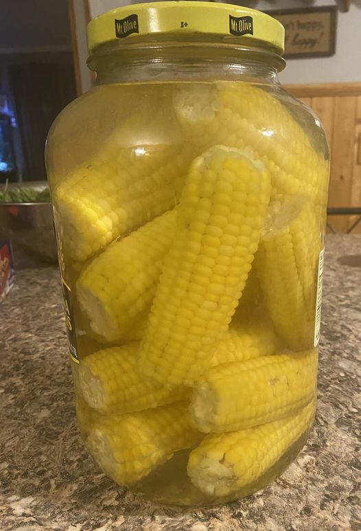 Pickled corn stored in mason jars for preservation."