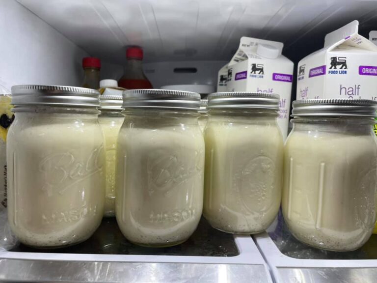 Mason jars filled with homemade eggnog chilling in the refrigerator