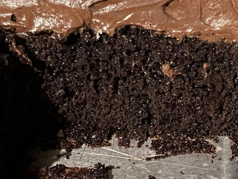 A close-up of a slice of chocolate cake, showing its ultra-moist, dark chocolate crumb with thick frosting.