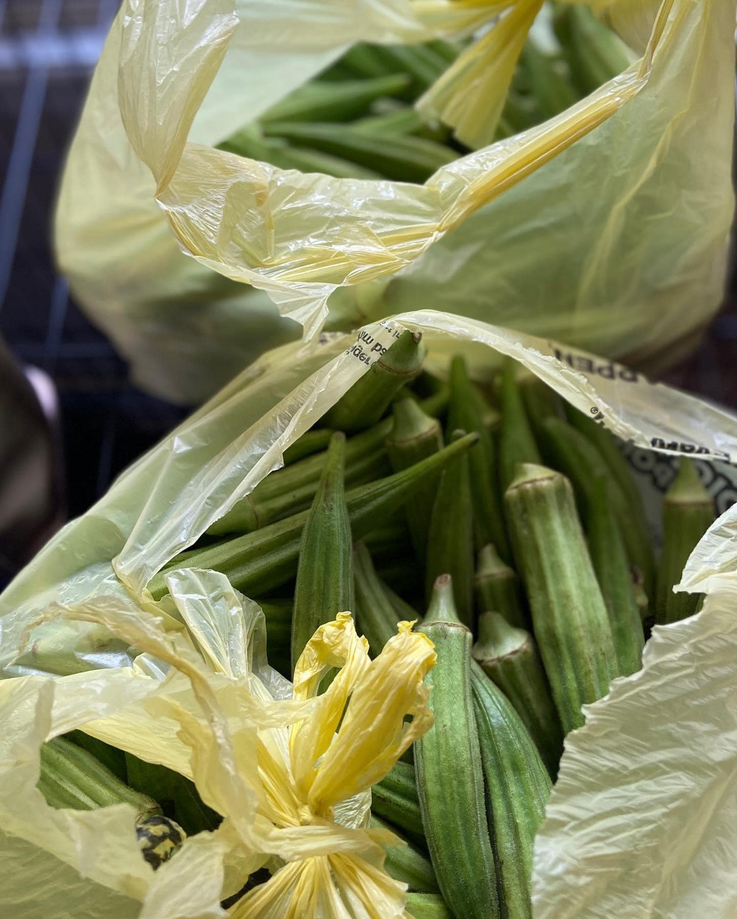 Freshly picked okra in bags, ready for preparation.