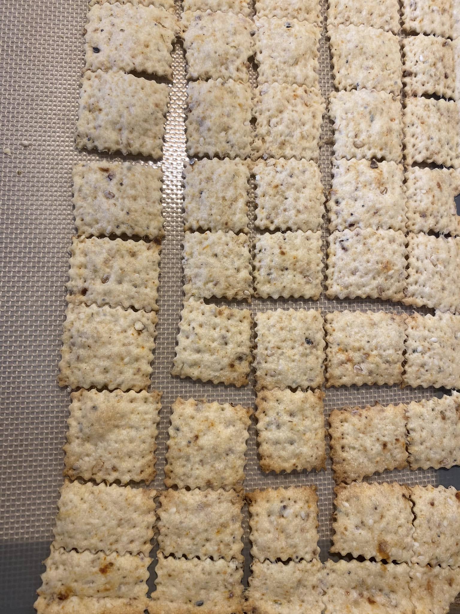 Homemade sourdough discard crackers cut into squares on silicone baking mat