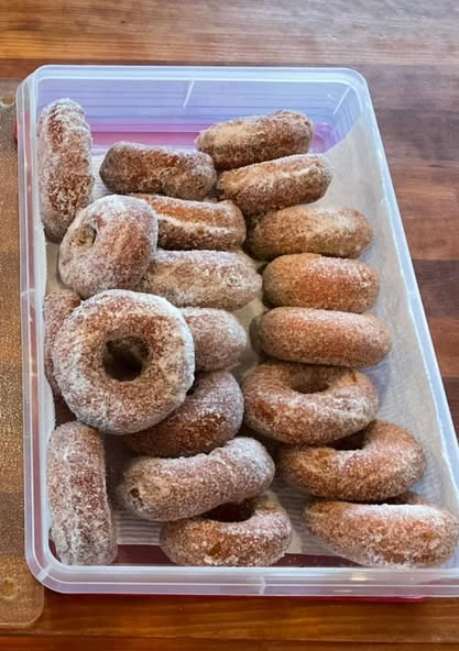 Homemade old fashioned sugared donuts fresh from the fryer