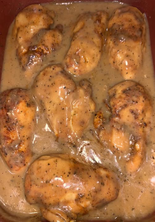 Chicken breasts smothered in brown gravy over rice