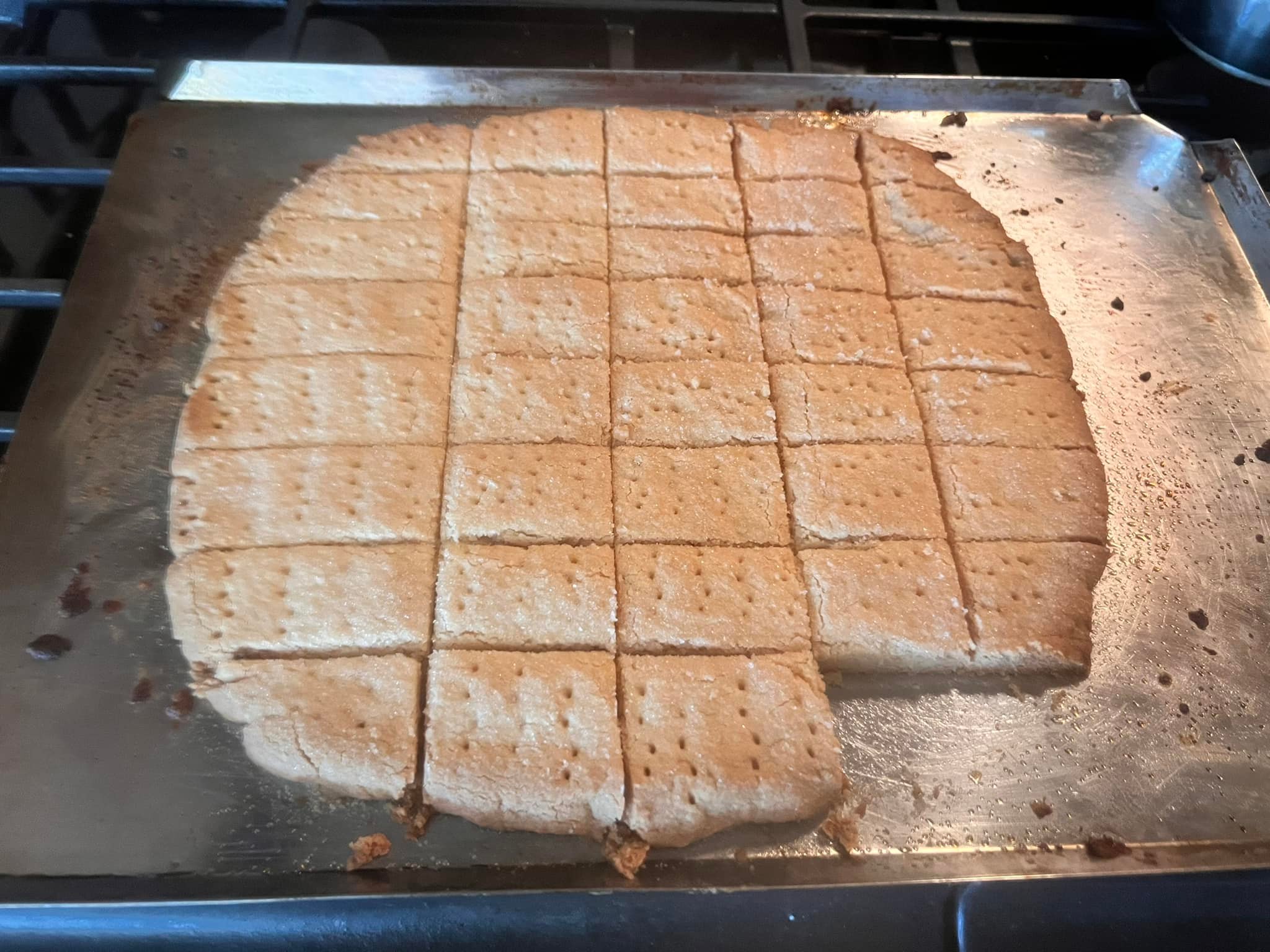 Golden Scottish shortbread fresh from the oven, cut into fingers