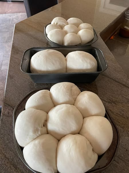 Bench scraper dividing dough