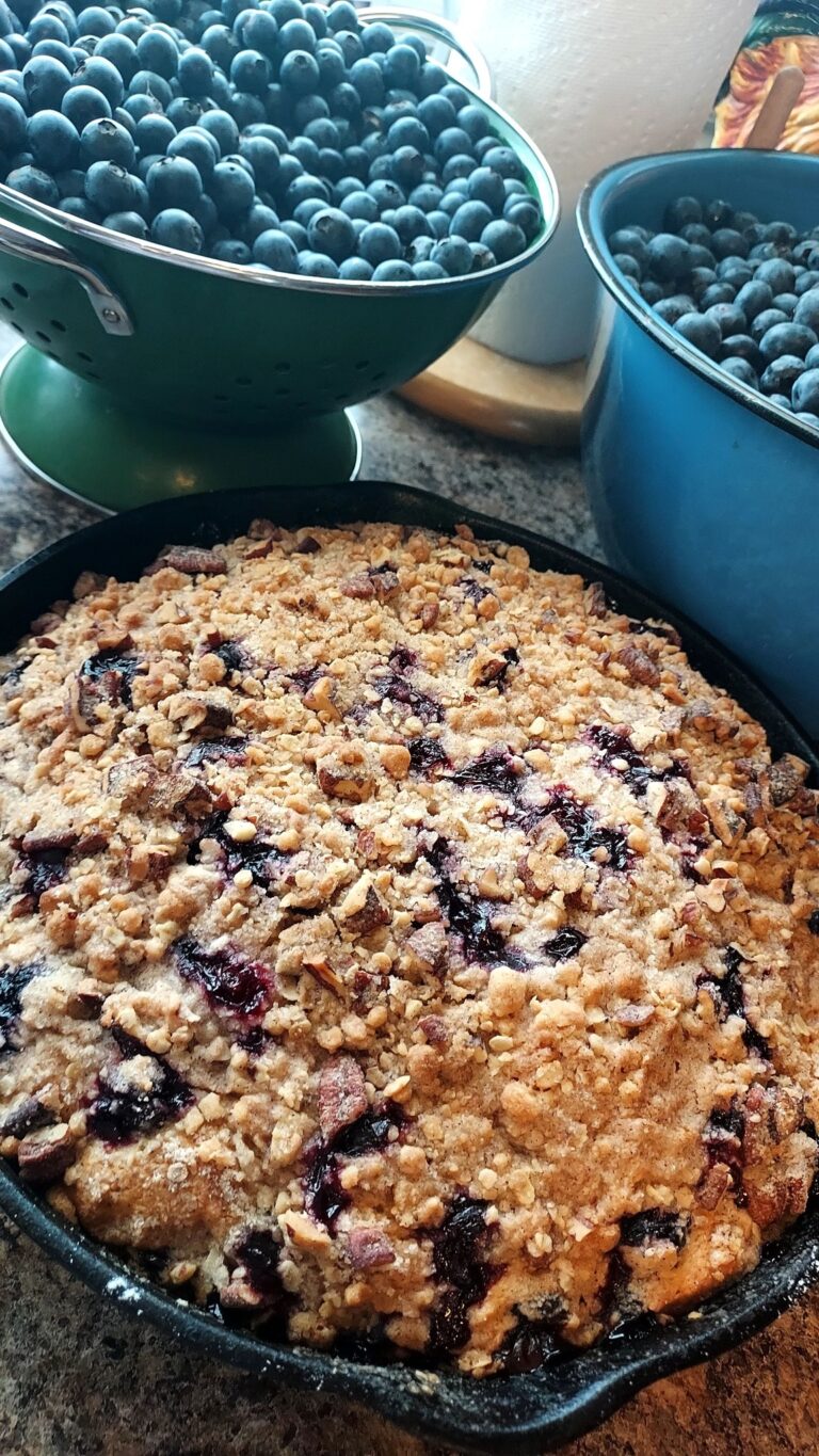 Old‑Fashioned Blueberry Buckle – Streusel‑Topped Coffee Cake