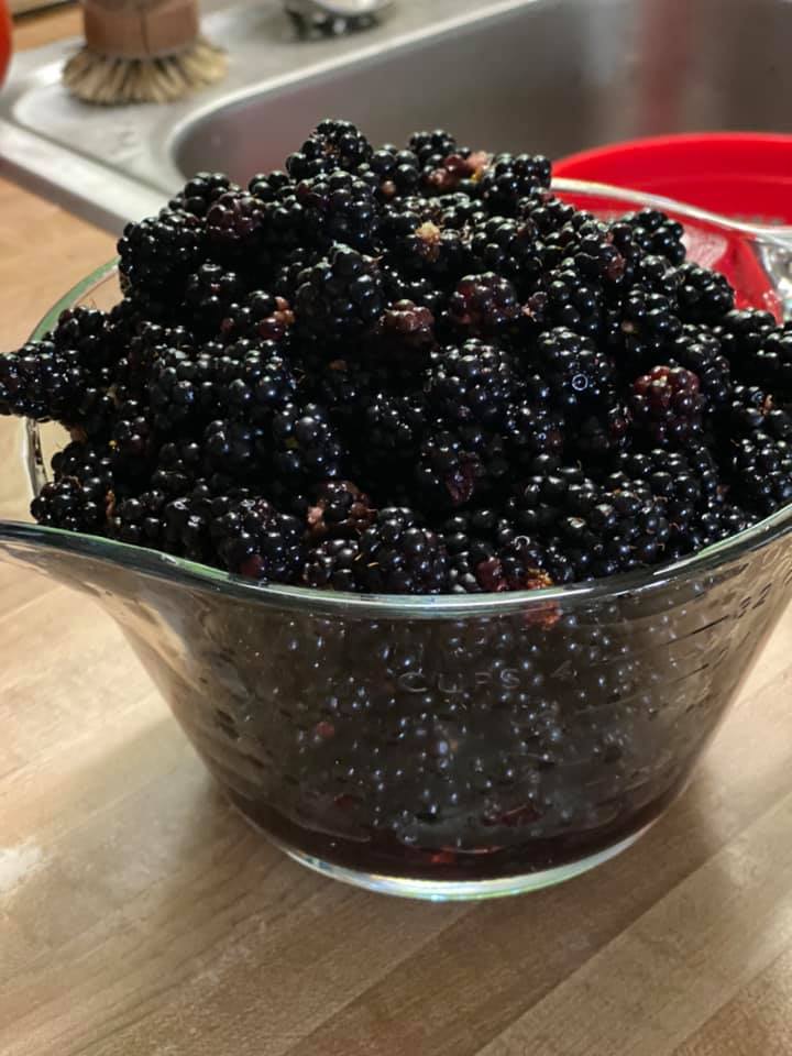 large glass measuring bowl filled with fresh blackberries at the kitchen counter