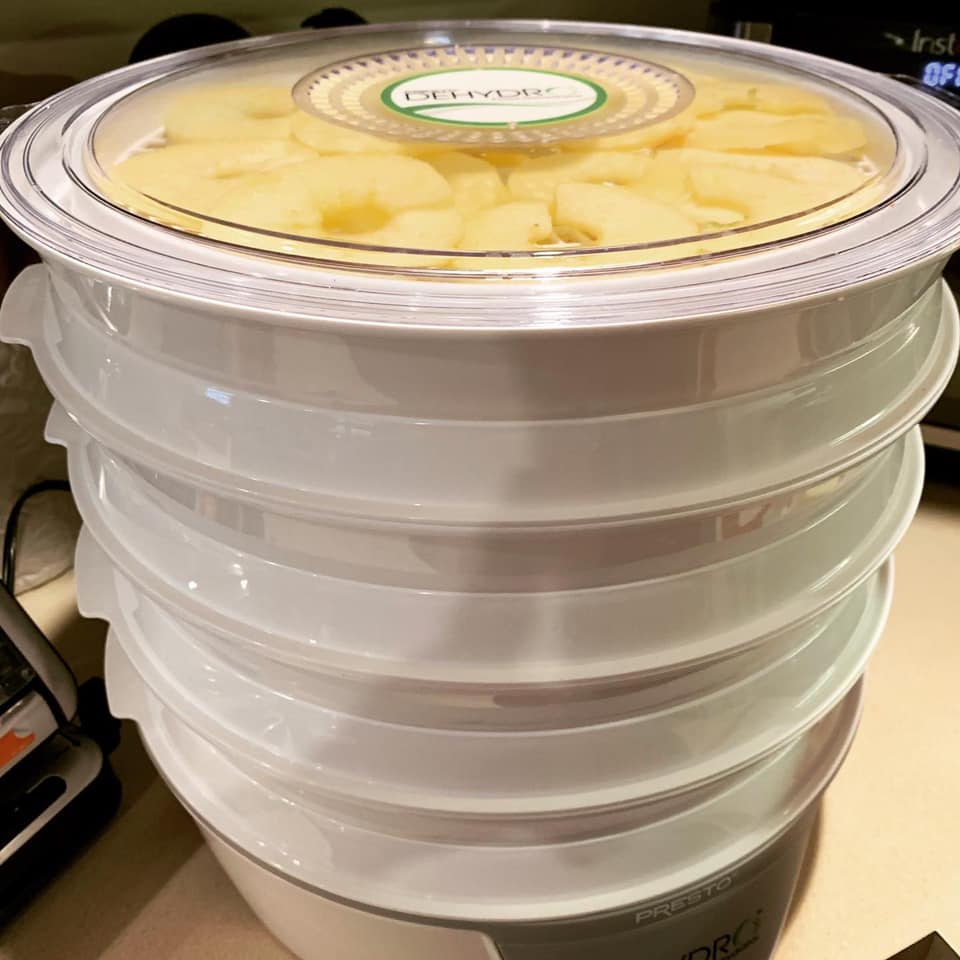 dehydrator trays filled with sliced Honeycrisp apples ready for drying]