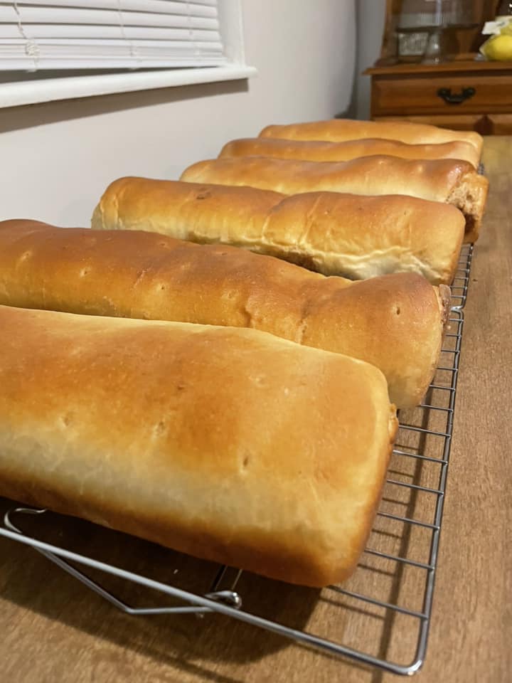 multiple baked Croatian nut rolls cooling on a rack, evenly risen and golden