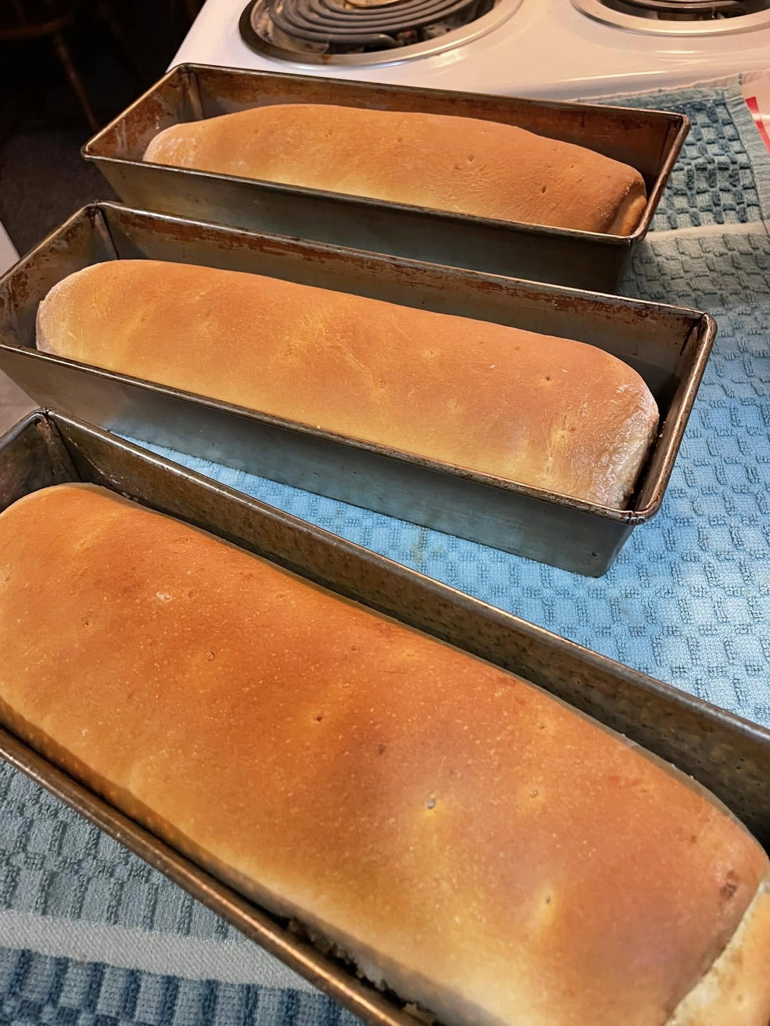 multiple baked Croatian nut rolls cooling on a rack, evenly risen and golden