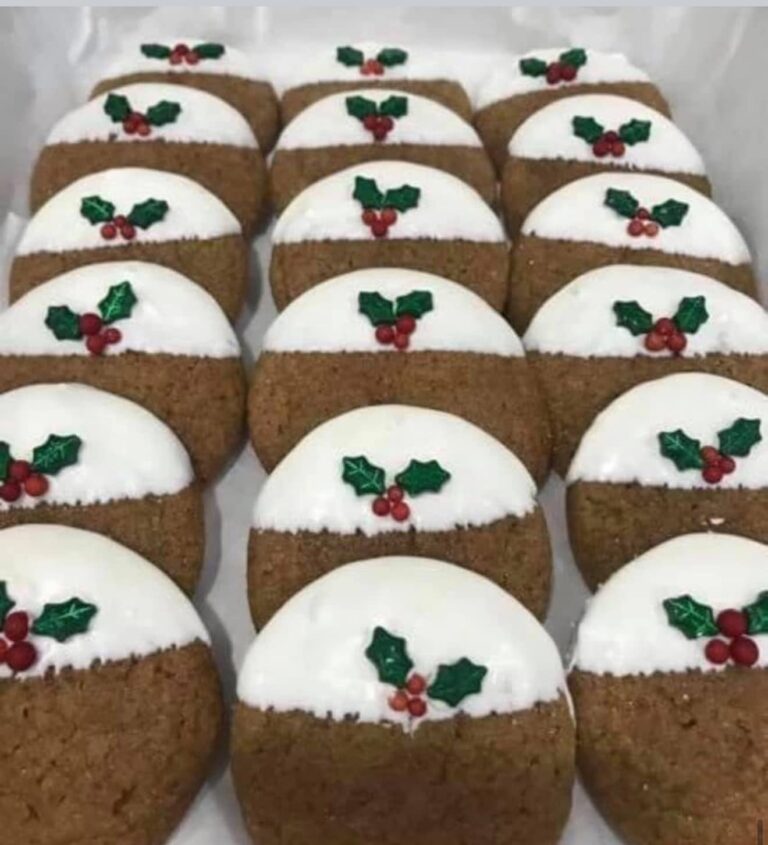 A white box filled with neat rows of Christmas Pudding ginger cookies ready for a holiday gift exchange