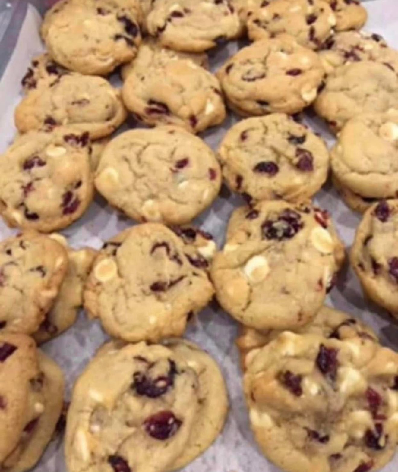Close up of a single golden oatmeal cookie loaded with red craisins and white chocolate chips.
