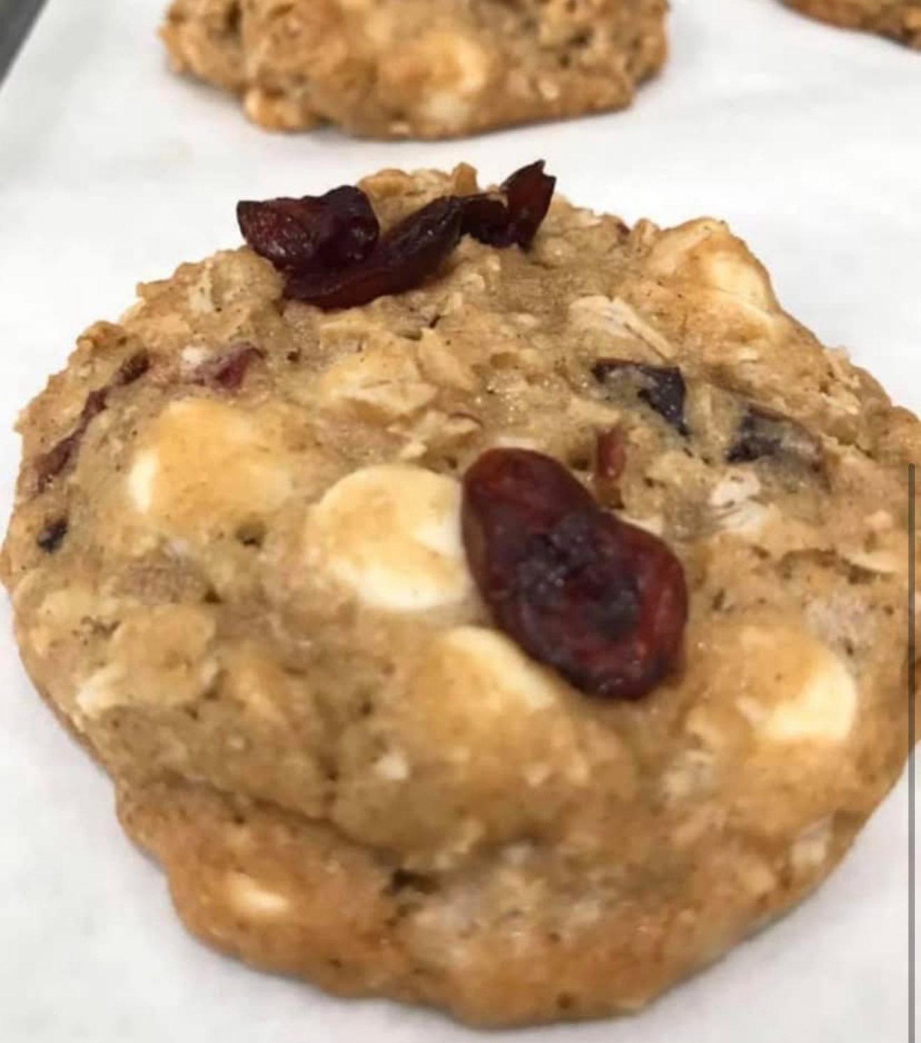 A baking sheet filled with baked oatmeal craisin cookies cooling on parchment paper