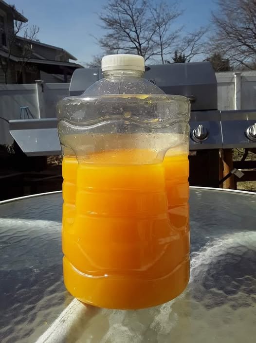 Old Fashioned Orange Haze Juice — A Summer Boardwalk Classic
